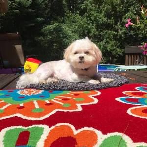 Meet your Posher, Jennifer